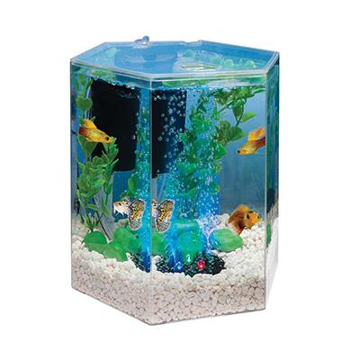 Tetra Betta Hexagon Color Changing LED 1 gallon Click for larger image Tetra Betta Hexagon Color Changing LED 1 gallon Click for larger image