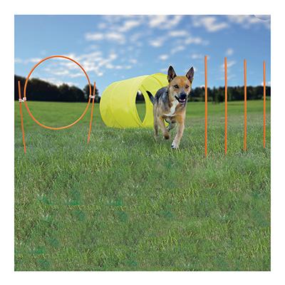 Outward Hound Outdoor Agility Starter Kit Outward Hound Outdoor Agility Starter Kit