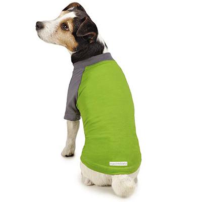 IS Premium Tee Green MED IS Premium Tee Green MED