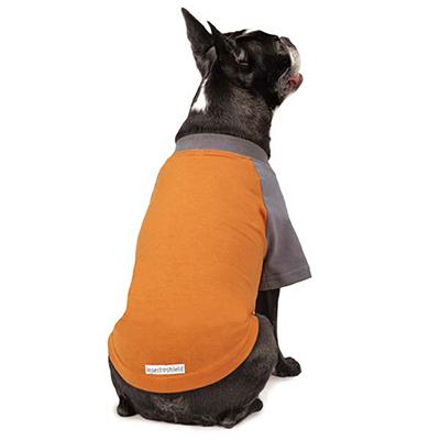 IS Premium Tee Orange SM/MD IS Premium Tee Orange SM/MD