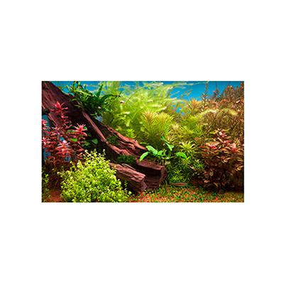 Fresh Water Plant 3D Aquarium Background 20 x 12-in. Click for larger image Fresh Water Plant 3D Aquarium Background 20 x 12-in. Click for larger image
