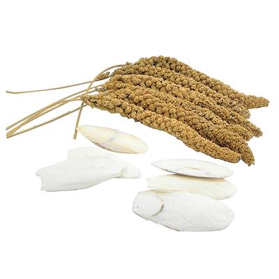 Millet and Cuttlebone Combo Pack for Caged Birds Click for larger image