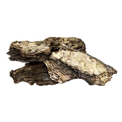 Galapagos Basking Bark Natural Terrarium Decoration Click for larger image Galapagos Basking Bark Natural Terrarium Decoration Click for larger image