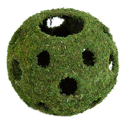 Galapagos Hanging Mossy Cave with Holes Large for Terrariums Galapagos Hanging Mossy Cave with Holes Large for Terrariums