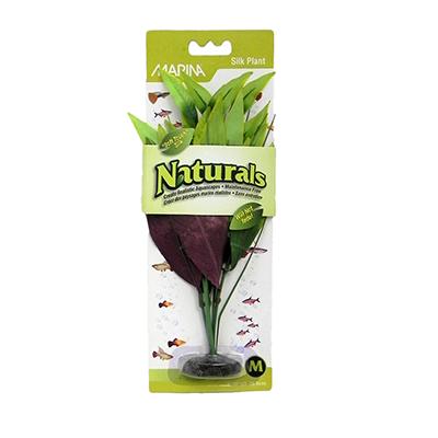 Plant Green Silk Pickerel Med Plant Green Silk Pickerel Med