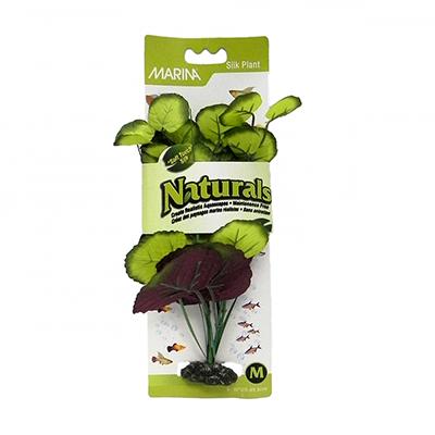 Marina Naturals Medium Pennwort Decorative Aquarium Plant Marina Naturals Medium Pennwort Decorative Aquarium Plant