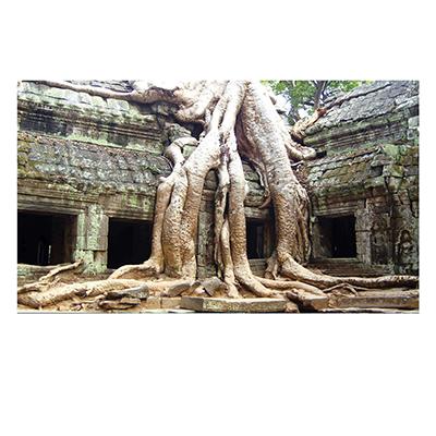 Ancient Ruins Aquarium Terrarium Vinyl Background 30x13 Ancient Ruins Aquarium Terrarium Vinyl Background 30x13