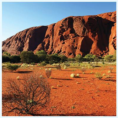 Red Desert Aquarium Terrarium Vinyl Background 30x13 Click for larger image Red Desert Aquarium Terrarium Vinyl Background 30x13 Click for larger image