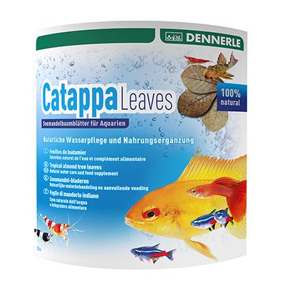 Dennerle Catappa Tropical Almond Leaves for Aquariums Dennerle Catappa Tropical Almond Leaves for Aquariums