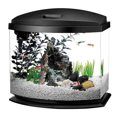 Aqueon Mini Bow LED BLACK 5 gallon Tank Aqueon Mini Bow LED BLACK 5 gallon Tank