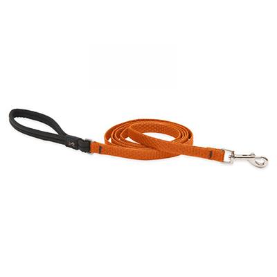 Lupine Dog Leash 6-foot x 1/2-inch Eco Pumpkin Lupine Dog Leash 6-foot x 1/2-inch Eco Pumpkin