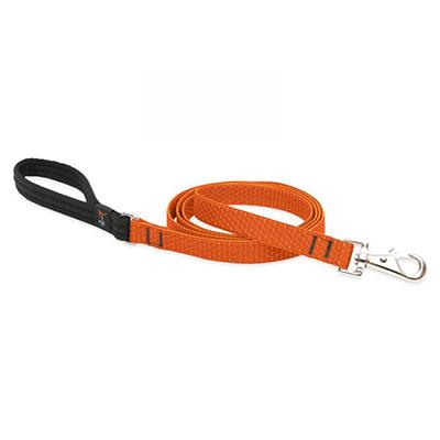 Lupine Dog Leash 6-foot x 3/4 inch Eco Pumpkin Lupine Dog Leash 6-foot x 3/4 inch Eco Pumpkin