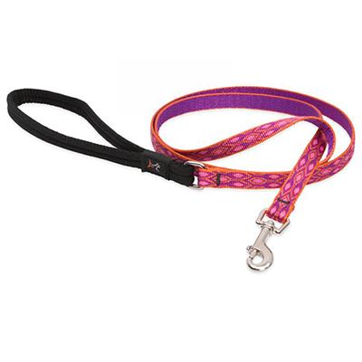 Lupine Nylon Dog Leash 4-foot x 1/2-inch Alpine Glow Click for larger image