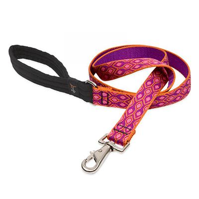 Lupine Nylon Dog Leash 6-foot x 1-inch Alpen Glow Click for larger image