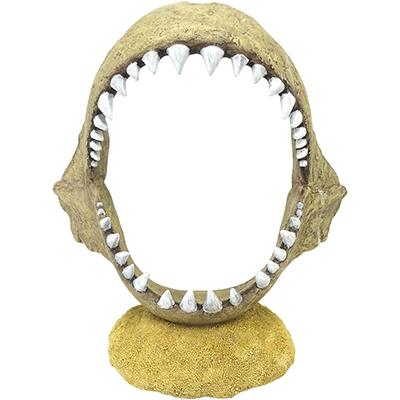 Megladon Shark Jaw Large Aquarium Ornament Click for larger image Megladon Shark Jaw Large Aquarium Ornament Click for larger image
