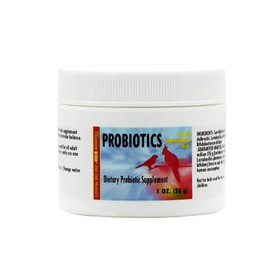Morning Bird Probiotic Supplement For Birds 1oz Click for larger image Morning Bird Probiotic Supplement For Birds 1oz Click for larger image