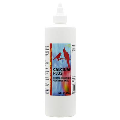 Morning Bird Calcium Plus Bird Supplement Liquid 16 oz Click for larger image Morning Bird Calcium Plus Bird Supplement Liquid 16 oz Click for larger image