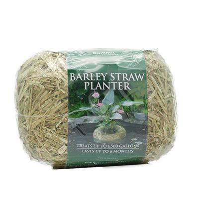 Clear Water Barley Medium Pond Planter up to 1500G Click for larger image