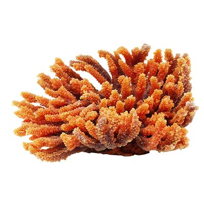 Red Acro Decorative Coral Aquarium Ornament 8-inch Click for larger image