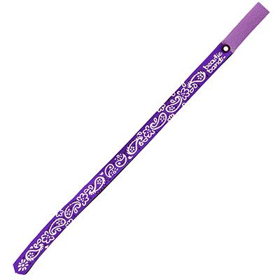 Beastie Band Cat Collar Paisley (Purple) Click for larger image Beastie Band Cat Collar Paisley (Purple) Click for larger image