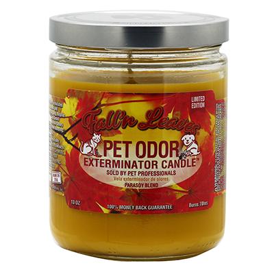 Pet Odor Eliminator Fall N Leaves Candle Click for larger image