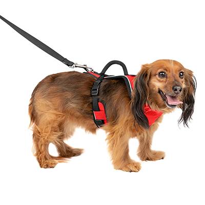 EasySport Comfortable Red Dog Harness Medium