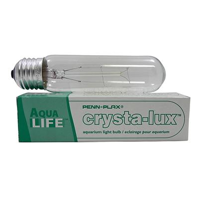 Incandescent Clear Aquarium Bulb 25 watt Click for larger image Incandescent Clear Aquarium Bulb 25 watt Click for larger image