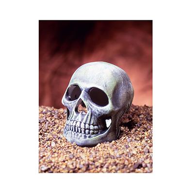 Skull Aquarium Ornament Skull Aquarium Ornament