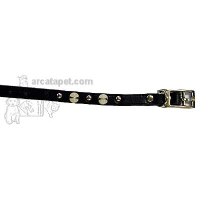 Spiked Dog Collar Black 8 x 3/8 inch Spiked Dog Collar Black 8 x 3/8 inch