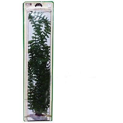 Ambulia Super Plastic Aquarium Plant Ambulia Super Plastic Aquarium Plant