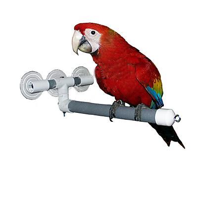 Shower and Window Bird Perch Lg Click for larger image Shower and Window Bird Perch Lg Click for larger image
