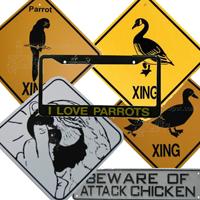 Bird Signs