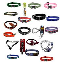 Dog Collars