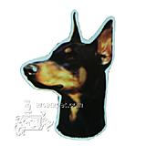 Vinyl Dog Magnet with Doberman Small