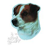 Vinyl Dog Magnet with Jack Russell Terrier Small