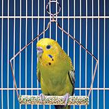 Penn Plax Swing Cement 4 inch Bird Toy