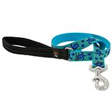 Lupine Nylon Dog Leash 6-foot x 1-inch Turtle Reef