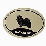 Euro Style Oval Dog Decal Havanese