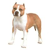 Double Sided Dog Decal American Staffordshire Terrier