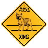 Xing Sign French Bulldog Plastic 10.5 x 10.5 inches