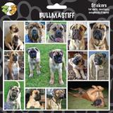 Arf Art Dog Sticker Pack Bull Mastiff