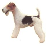 Double Sided Dog Decal Fox Terrier Standing