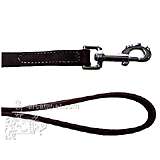 Circle T Leather Dog Leash 4 foot 3/4 inch wide