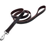 Circle T Leather Dog Leash 6 foot 3/4 inch wide