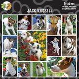 Arf Art Dog Sticker Pack Jack Russell Terrier