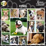 Arf Art Dog Sticker Pack Pit Bull Terrier