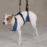 Lift & Lead Dog Harness Small