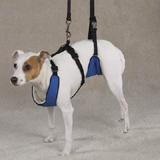 Lift & Lead Dog Harness Medium