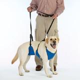 Lift & Lead Dog Harness Large