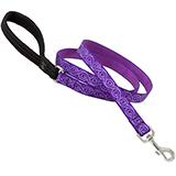 Lupine Nylon Dog Leash 6-foot x 3/4-inch Jelly Roll